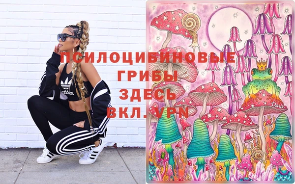 ГАЛЛЮЦИНОГЕННЫЕ ГРИБЫ Алзамай