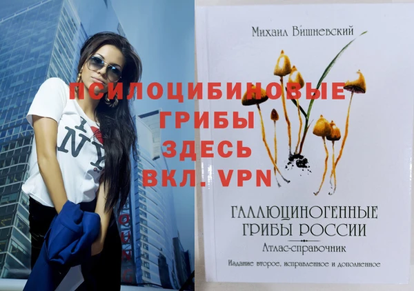 ГАЛЛЮЦИНОГЕННЫЕ ГРИБЫ Алзамай