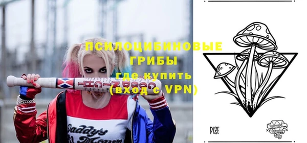 ГАЛЛЮЦИНОГЕННЫЕ ГРИБЫ Алзамай