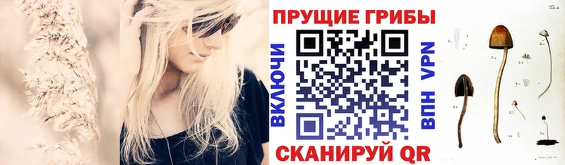 Псилоцибиновые грибы Cubensis Черноголовка