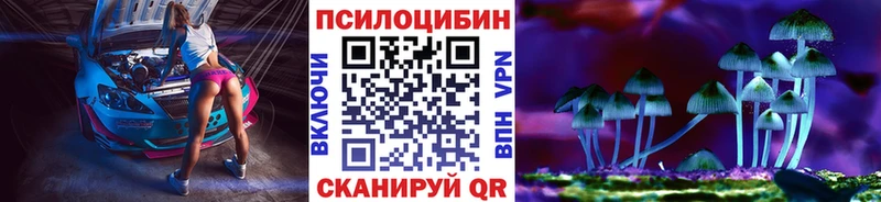 Псилоцибиновые грибы Psilocybe Черноголовка